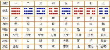 八字五行屬性查詢|八字五行查詢